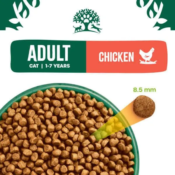 Adult Chicken & Rice Dry Cat Food