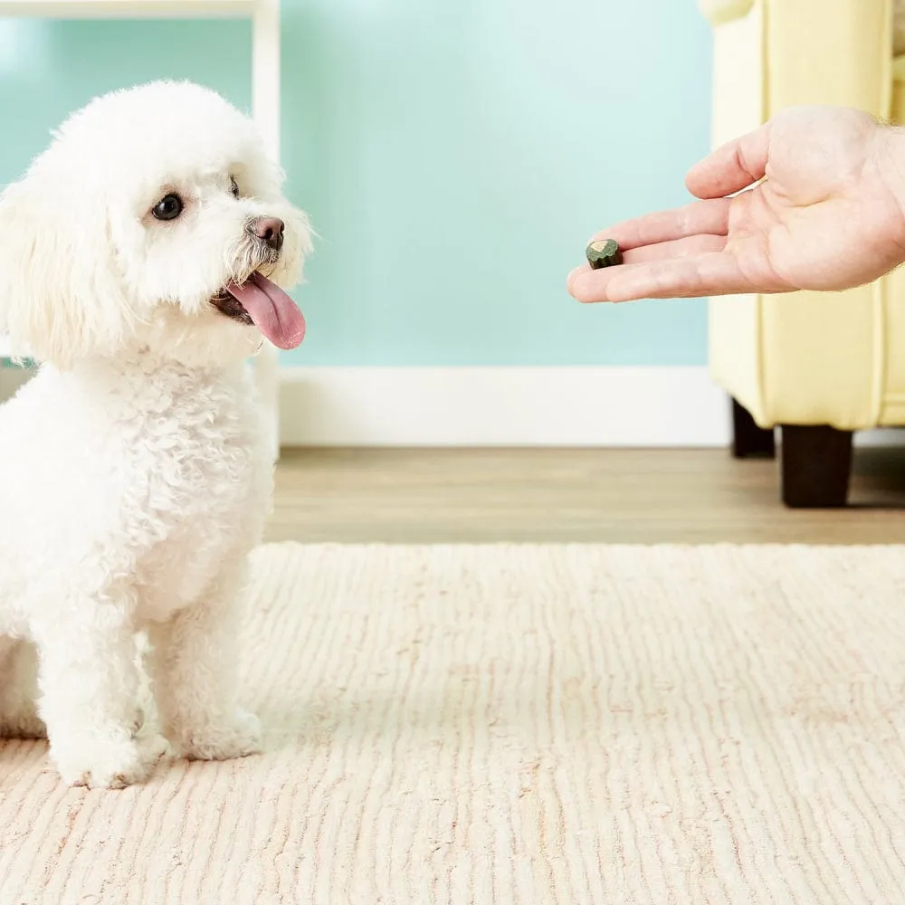 Ark Naturals Brushless Toothpaste Mini Dog Treats