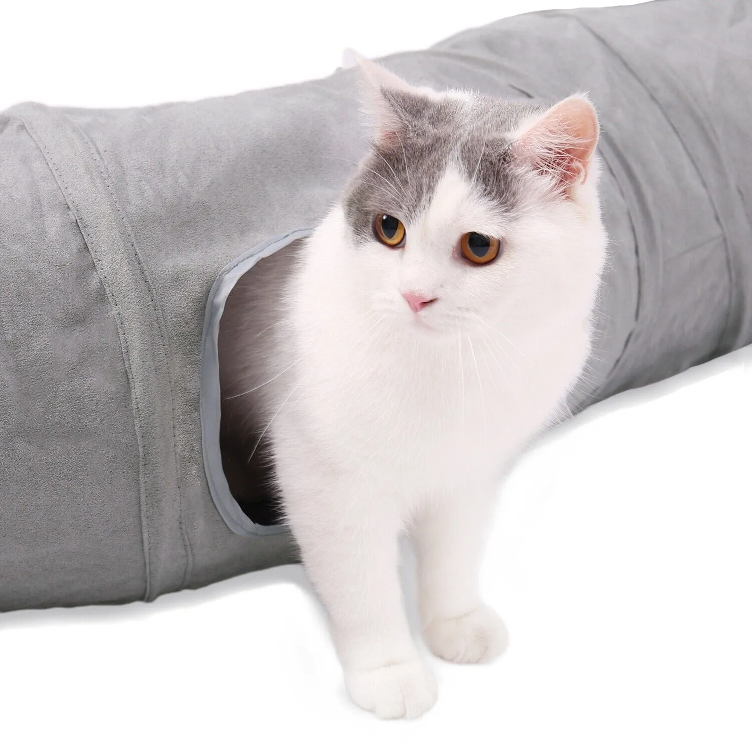 Collapsible Cat Tunnel