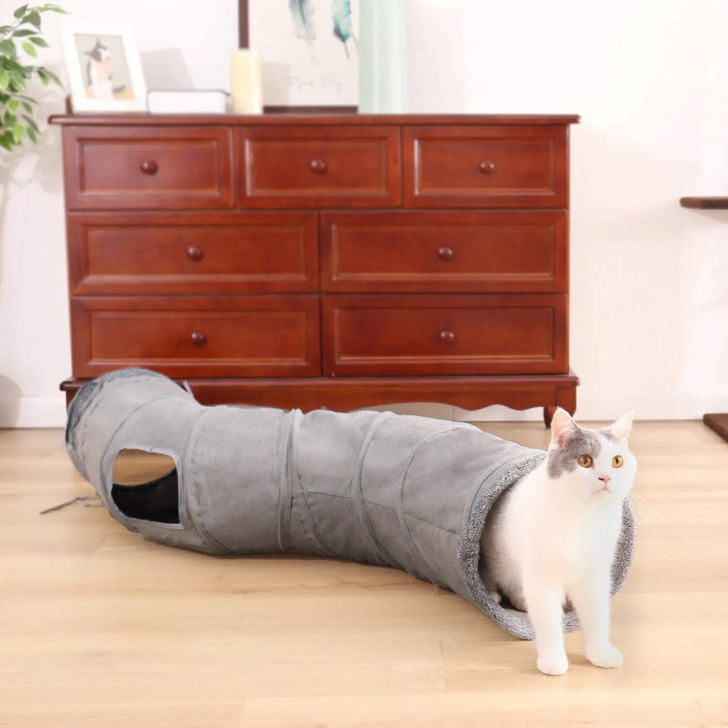 Collapsible Cat Tunnel