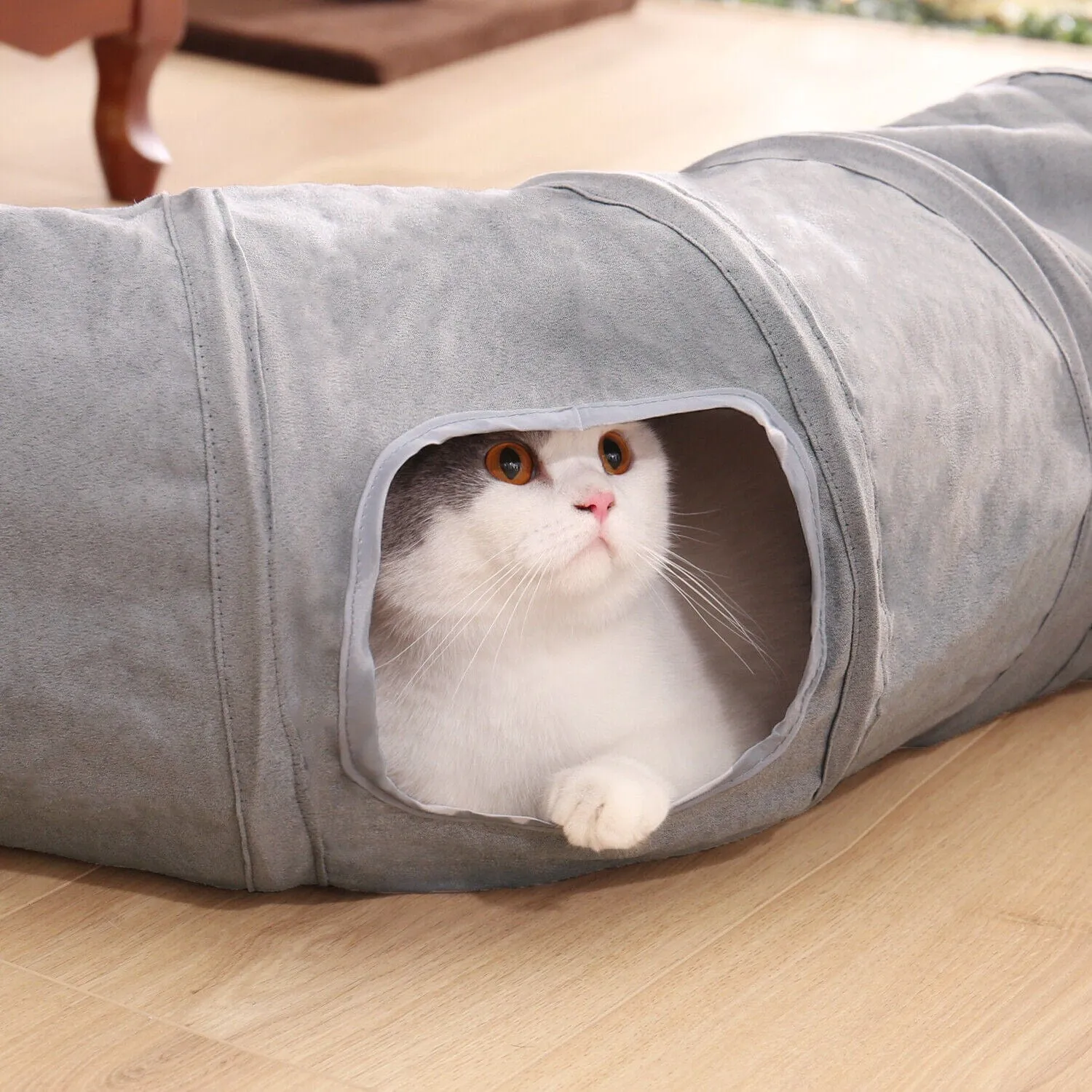 Collapsible Cat Tunnel