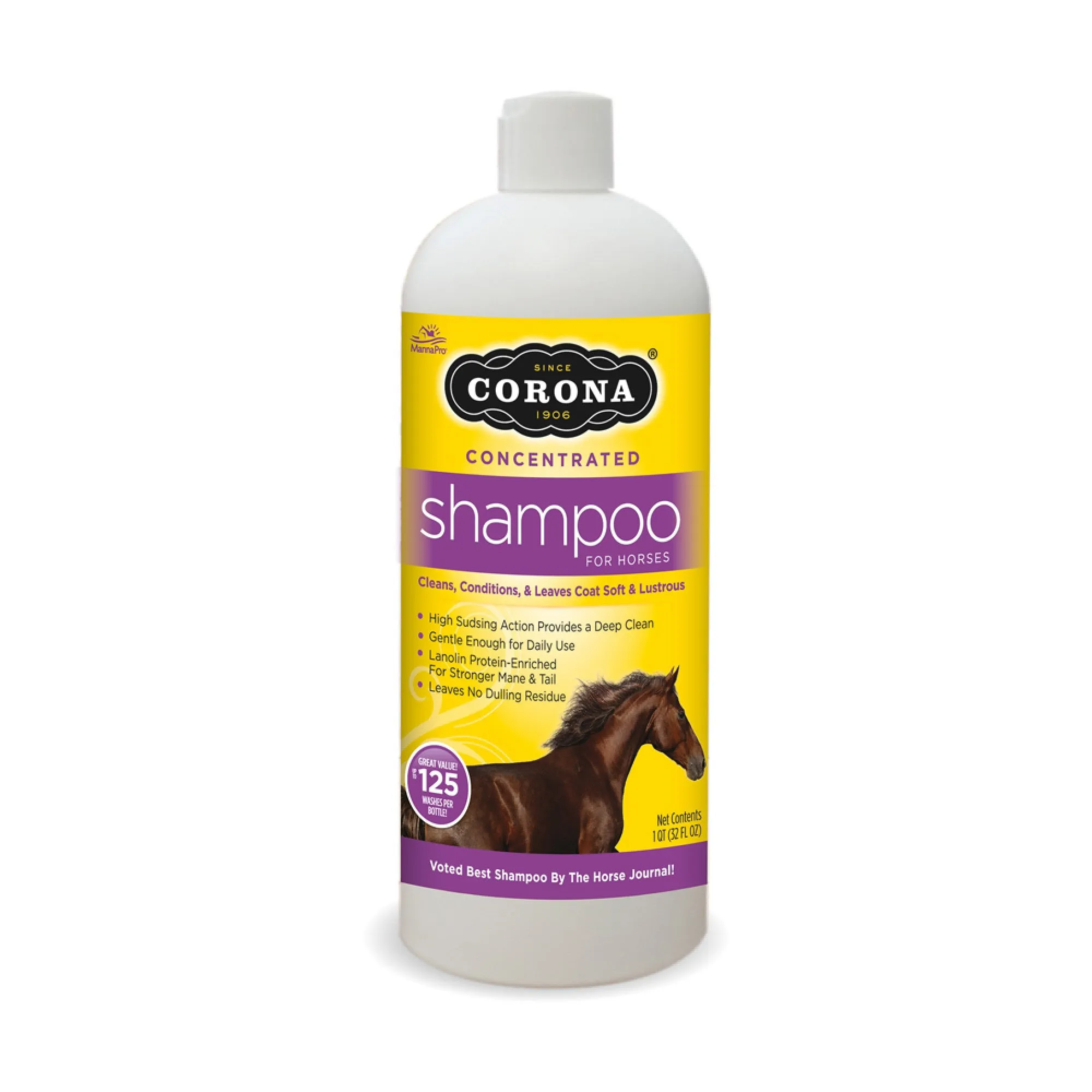 Corona Concentrated Shampoo