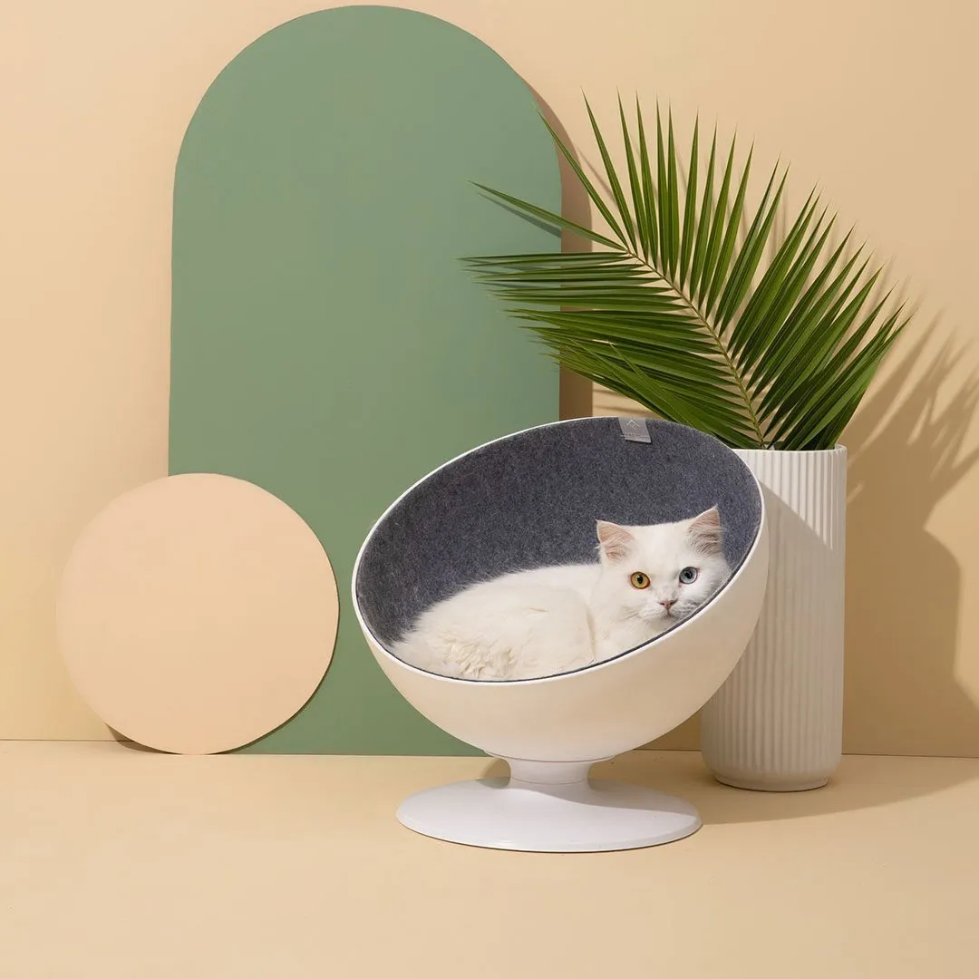 Delicate hemispherical cat's nest