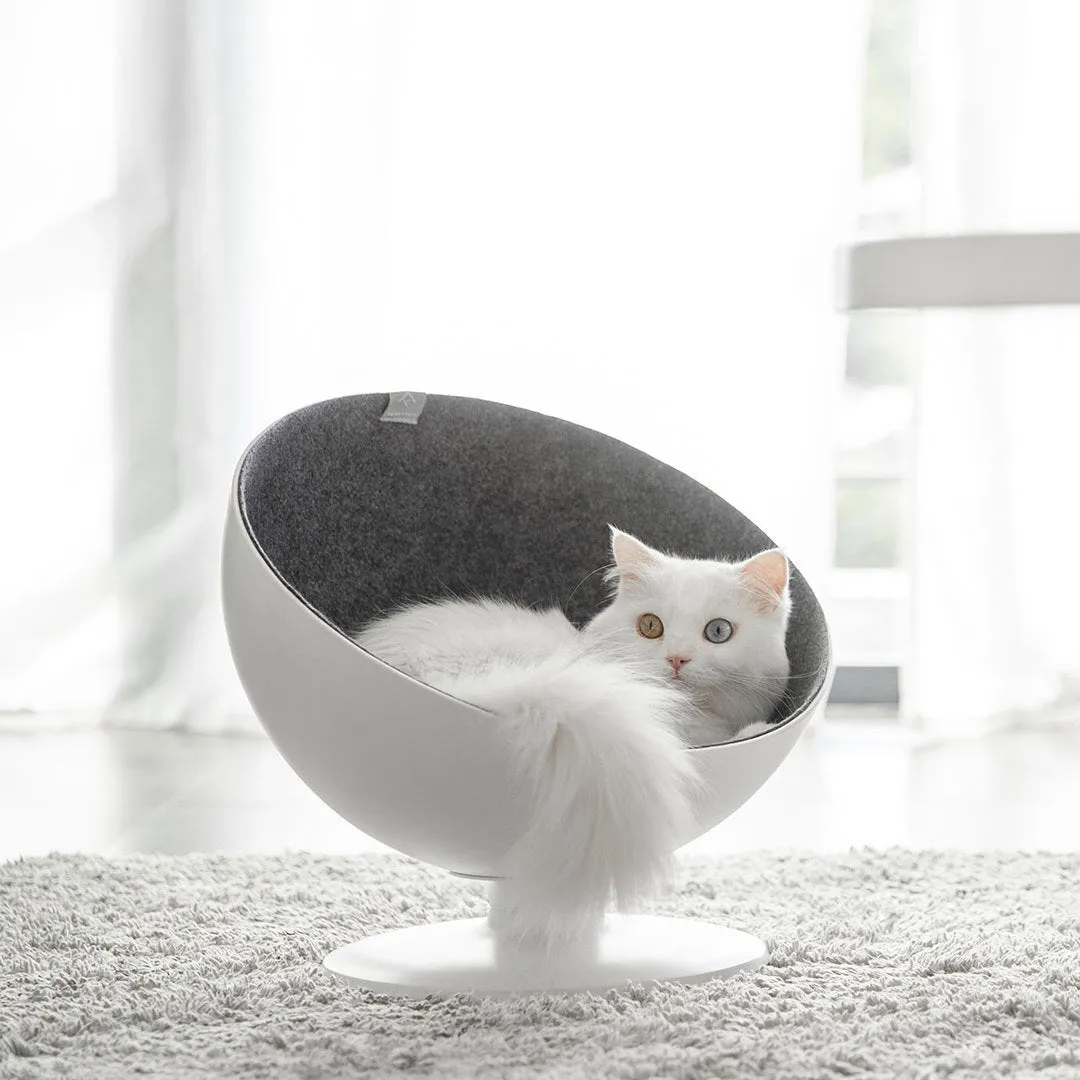 Delicate hemispherical cat's nest