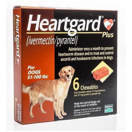 *DONATION TO ACTION FOR SINGAPORE DOGS* HGB Plus Chewables for Dogs 51-100lb 6pc