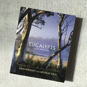 Eucalyptus A Celebration