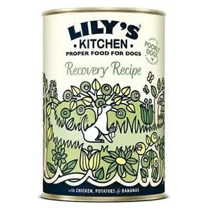 Lily's Kitchen Recovery Recipe 6x 400g  - Tray