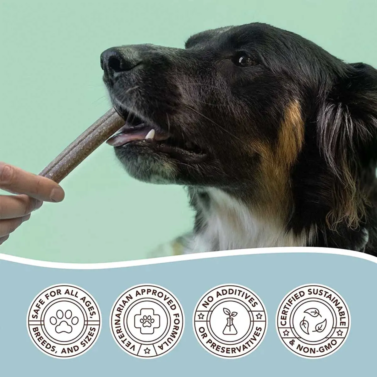 Natural Dog Company Premium Dental Treats