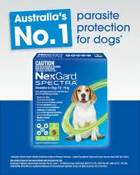 NEXGARD SPECTRA PURPLE chews for Medium Dogs 15.1~30kg - Flea & Tick Protection, Heartworm & Worming