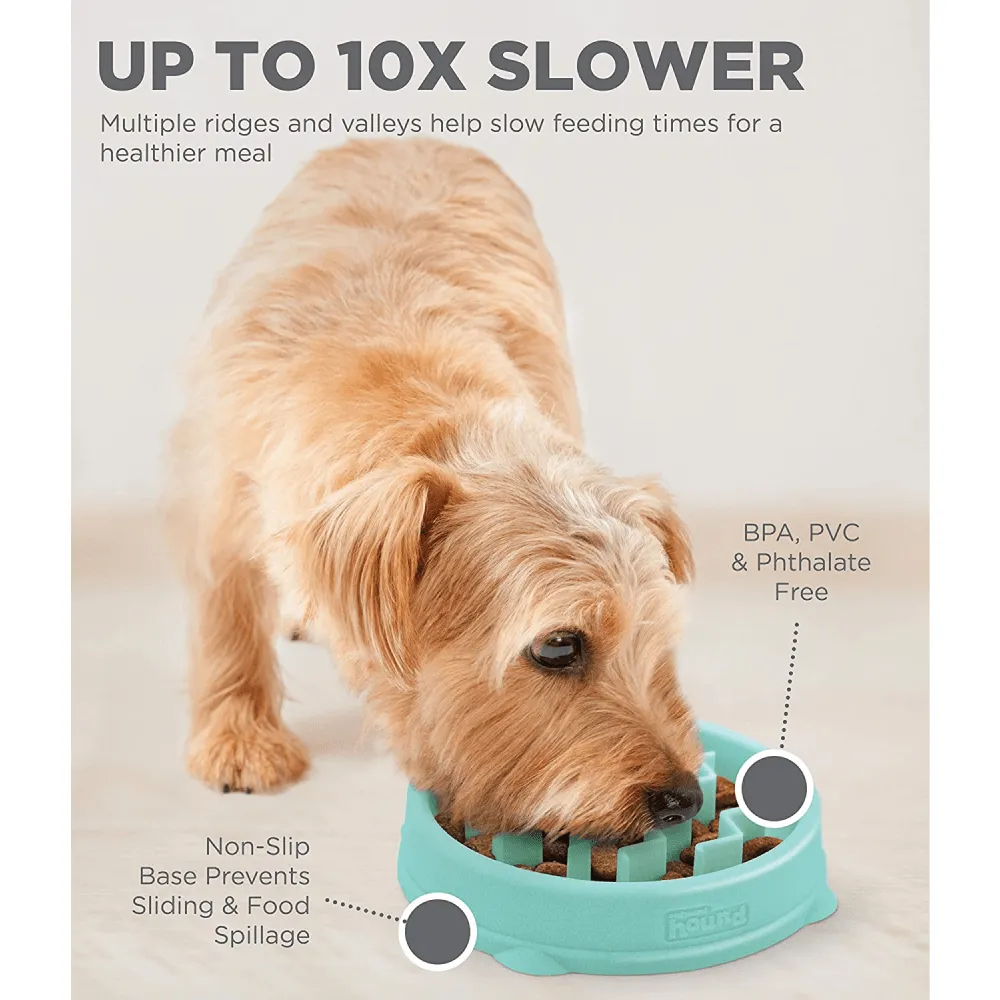 Outward Hound Fun/Slow Feeder for Dogs (Green)