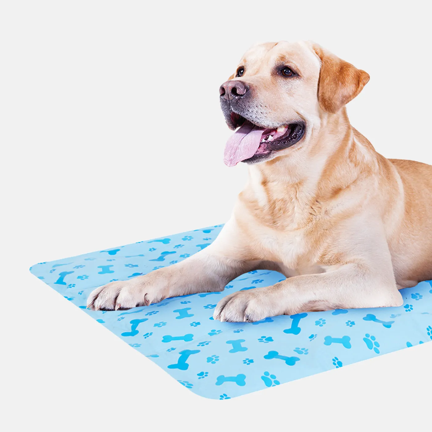 Pet Cooling Mat