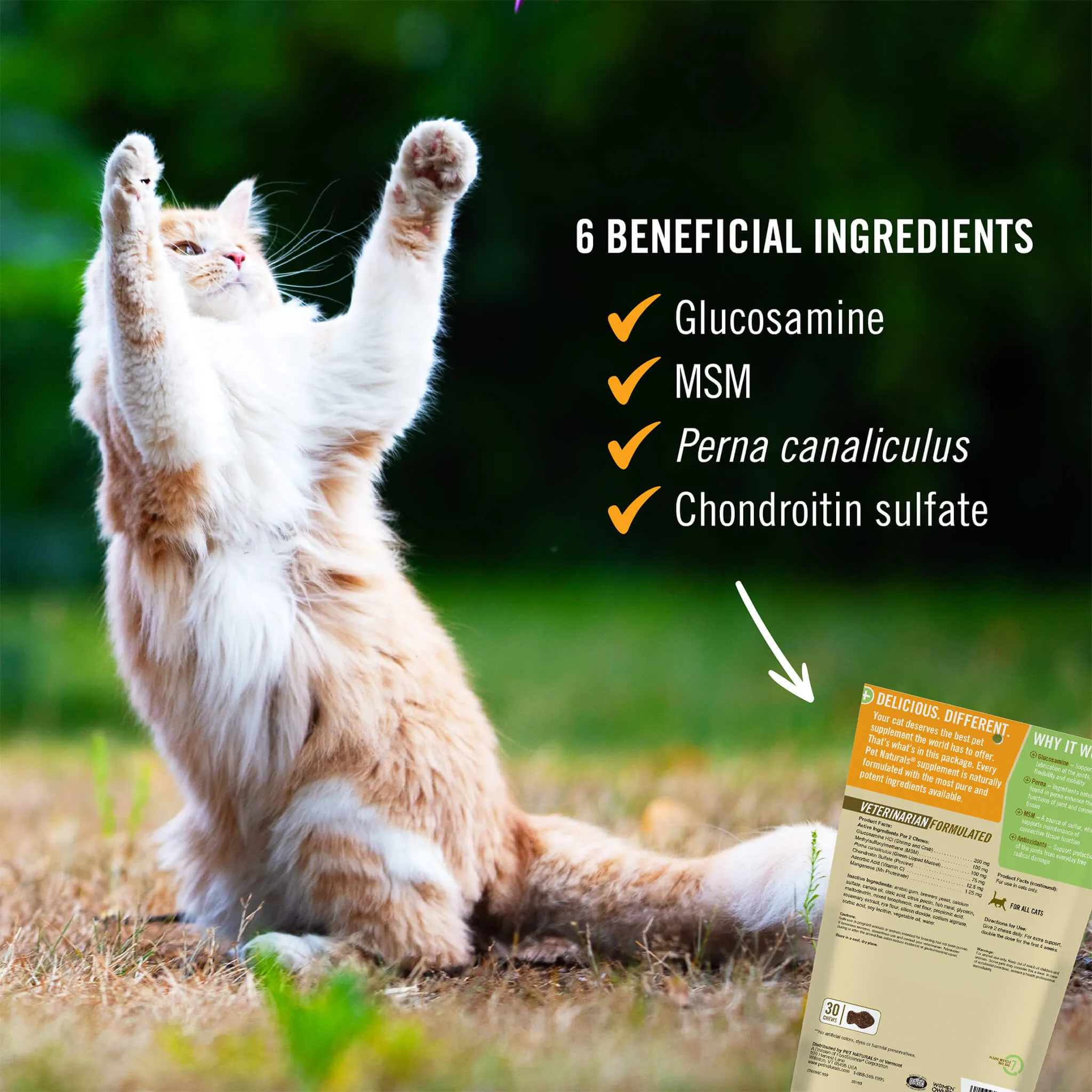 Pet Naturals Hip and Joint Soft Chews for Cats