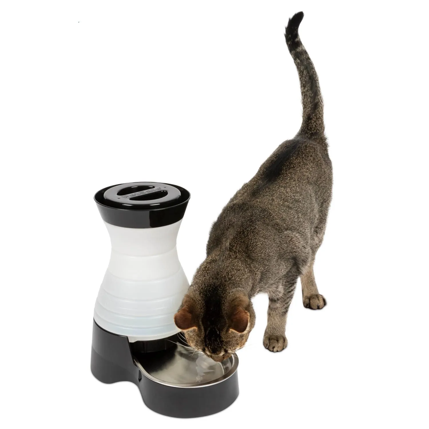 PetSafe Healthy Pet Water Station