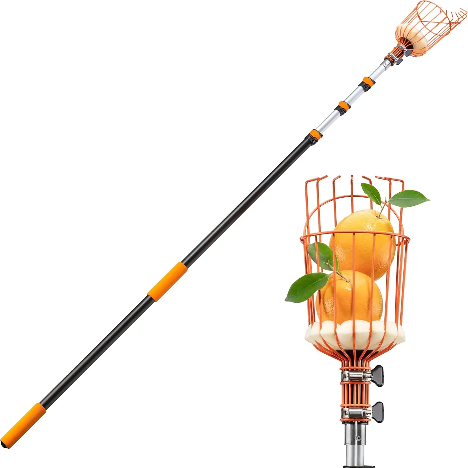 Telescoping Fruit Picker with Basket, Ultimate High-Reach Tool for Apples, Oranges, Mangoes, and More