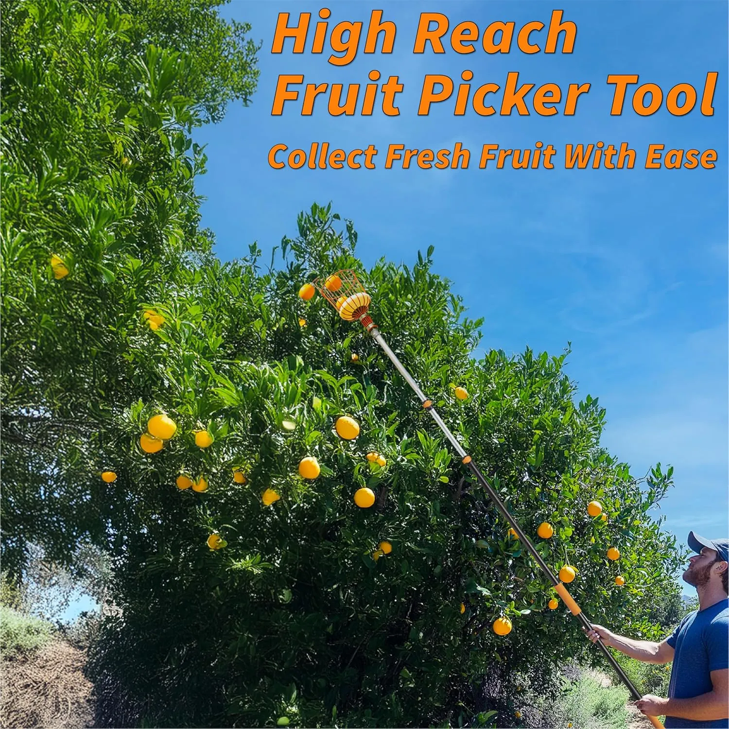 Telescoping Fruit Picker with Basket, Ultimate High-Reach Tool for Apples, Oranges, Mangoes, and More