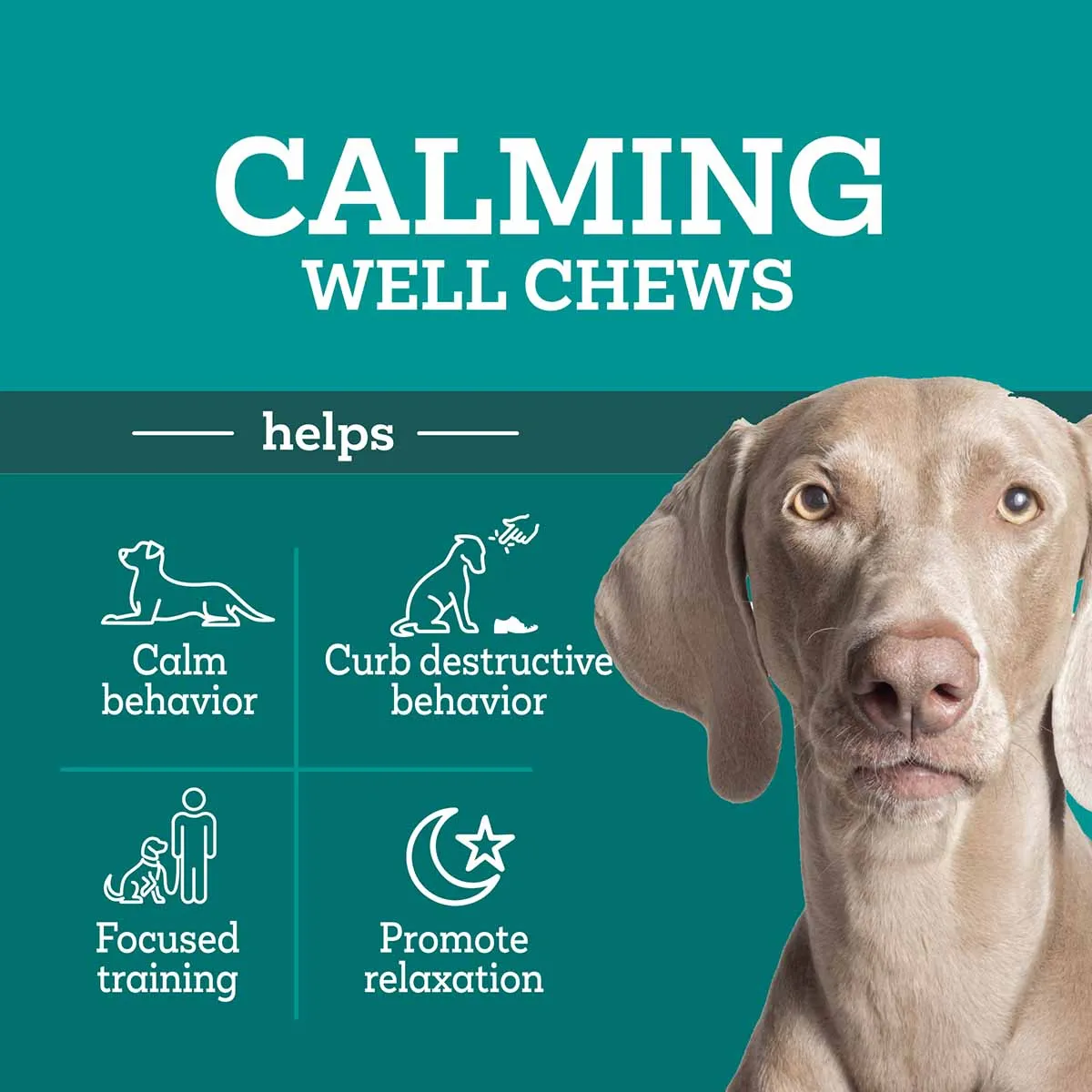 Triple Action Calming Sniffer Soft Chews for Dogs, 60 ct