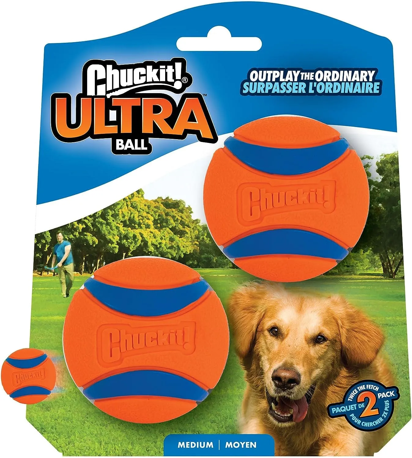 Ultra Ball Dog Toy